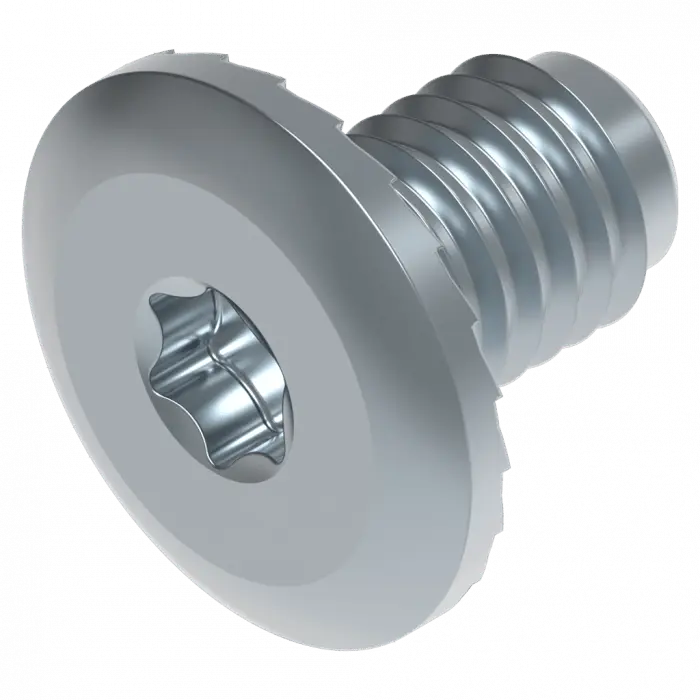 Flachkopf Schraube M8 TORX 30 Schweighöfer Tore